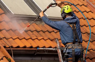 Démoussage et hydrofuge de toiture à la Gimond